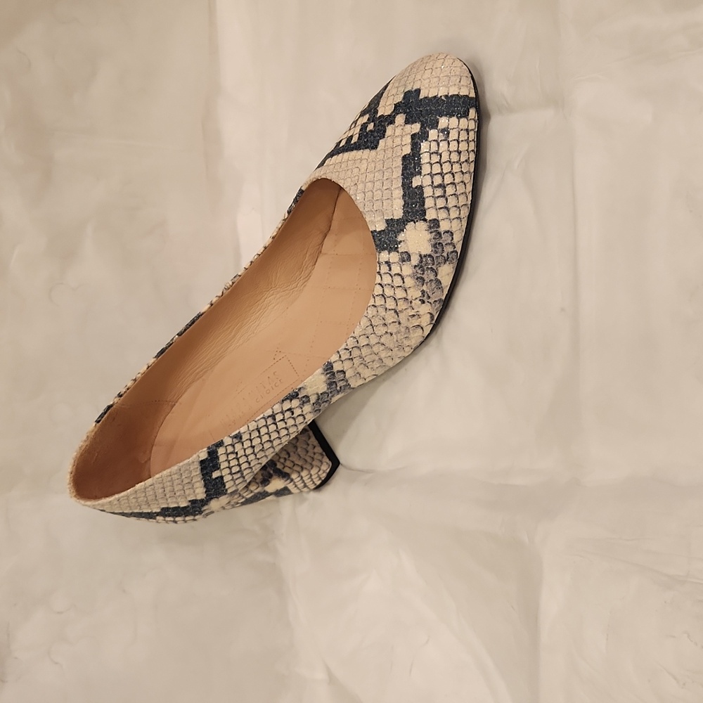 Hispanitas heeled pumps python